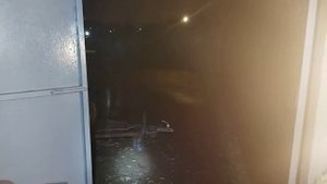 Двигатель Ruggerini RD 270