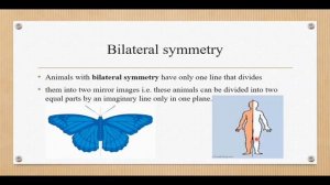 1st year Biology ch 10 kingdom Animalia Symmetry and its types