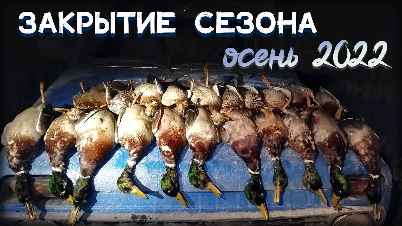 Лучшая охота на крякаша в моей жизни! От манка утки сходили с ума
