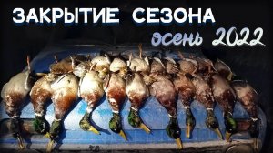Лучшая охота на крякаша в моей жизни! От манка утки сходили с ума