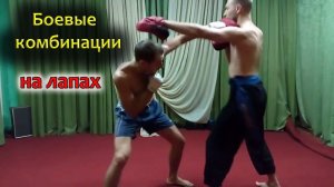 Кунг-фу тренировка на лапах. Несколько эффективных комбинаций