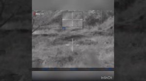 Охота ночью на шакала