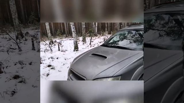 Impreza GH субботняя прогулка по сосновому бору. Impreza GH Saturday walk through the pine forest. смотреть онлайн