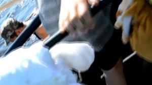 гора ослянка