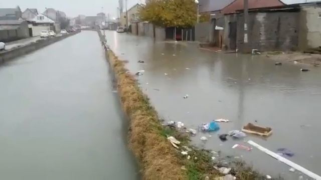 17 ноября 2016 г. смотреть онлайн