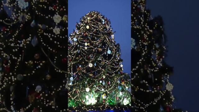 Главная Ёлка Страны на територии Кремля