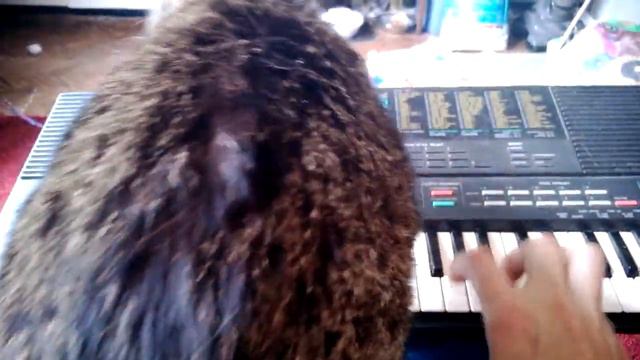 bacon and nate - portasound смотреть онлайн