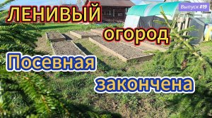 #19 Не сдохнуть на огороде! Весенние посадки.