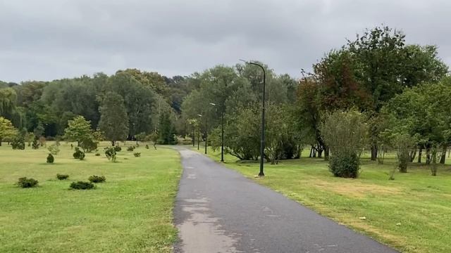 Salvând un vagabond de prizonieri, medicul ambulanței l-a înregistrat pe documentul soțului ei. Dar смотреть онлайн