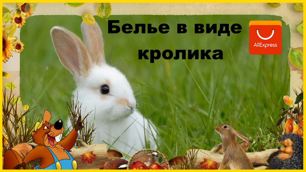 AliExpress. Эротическое нижнее белье, Привлекательная форма Банни, соблазнительный комбинезон.