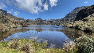 Альпаки, горы и озера: национальный парк Эль Кахас в Эквадоре
