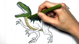 Нарисуй и раскрась Велоцираптора ! \\ Рисование для мальчиков!