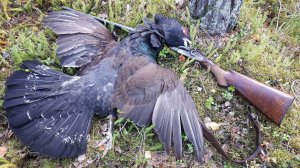 Путешествие в Карелию #5 /охота на Глухаря/ТОЗ БМ/