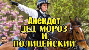 Анекдот про Деда Мороза и Полицейского. Анекдот до слез.