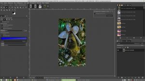 Урок по gimp: удаляем фон с картинки