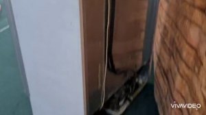 холодильный шкаф витирина