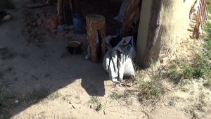 Дом из дров, перегородка. Глиночурка.