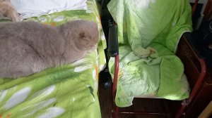 Девчачьи суровые будни