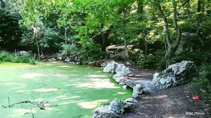 Крым?Симеиз?Лучший курорт?Люди уже купаются?