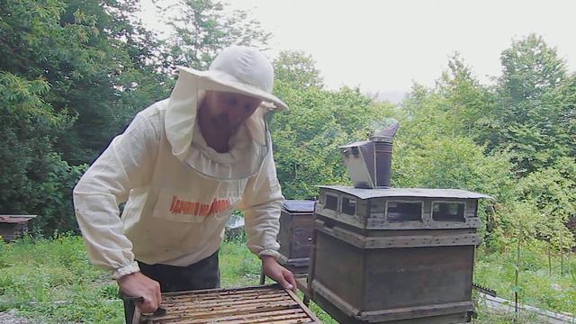 СКОЛЬКО МЕДА В УЛЬЕ? смотреть онлайн