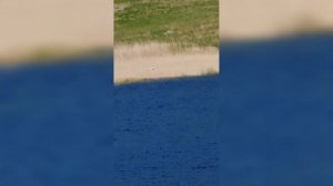 Приморский край п.Тимофеевка 05.06.2021
