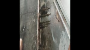 Не греет печка в машине ( одна из причин)