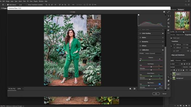 Moody Dark Green Preset  Photoshop Preset XMP  DNG  Free Preset Download