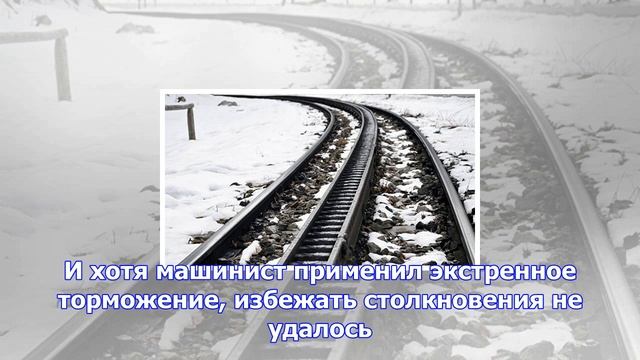 В еврейской автономной области столкнулись поезд и автобус смотреть онлайн