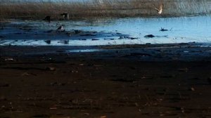 Верхне-Макаровское водохранилище