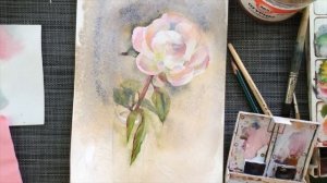 Уроки рисования. Как рисовать пион акварелью.