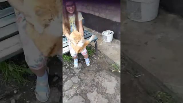Мучаем кота смотреть онлайн