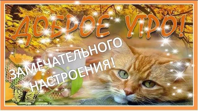 С добрым утром! Пусть день будет ясным! Замечательного настроения!