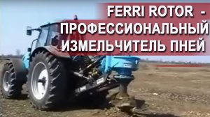 как удалить пень