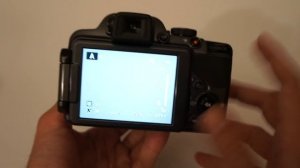 Nikon Coolpix P520 preview