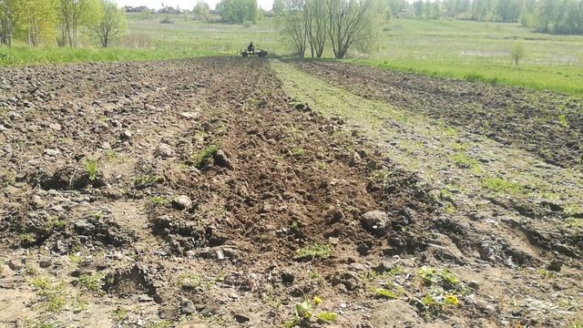 Мотоблок мтз 05 с адаптером и культиватором смотреть онлайн