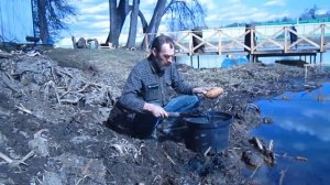 Посадка Лотоса в Подмосковье