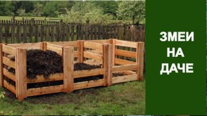 Змеи на даче как избавиться - секреты безопасного сада! #хитсад #длясада #борьбасвредителями #сад