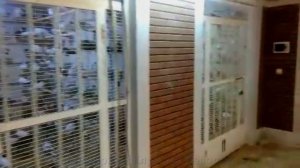 Гигантский Питомник Голубей