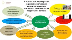 План основных мероприятий по поддержке и развитию движения школьных лесничеств в.mp4