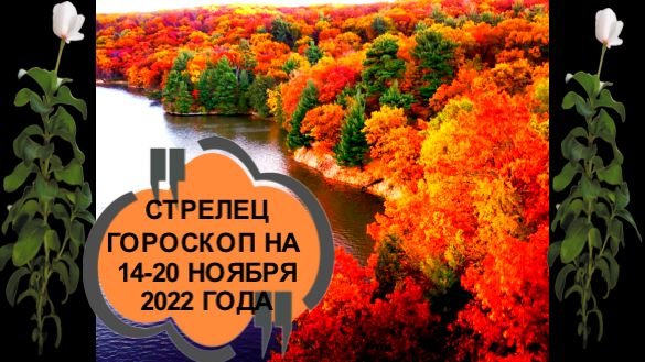 стрелец гороскоп на 14-20 ноября 2022 года.