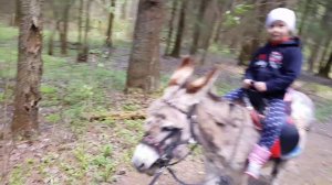 МЫ С КАТЕЙ УШЛИ ИЗ ДЕРЕВНИ