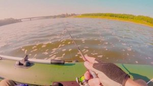 УДАЧНАЯ РЫБАЛКА НА  РЕКЕ ТОМЬ В ЧЕРТЕ ГОРОДА  СПЛАВ ДОЗ ИЛЬИНКА