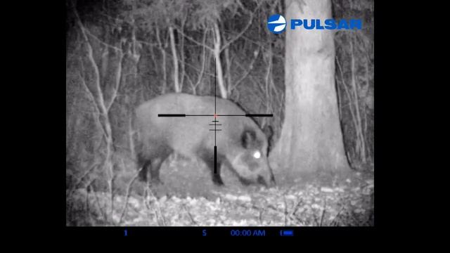 Digisight N770. Digital Night Vision Riflescope смотреть онлайн