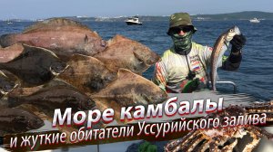 Тащим КАМЧАТСКОГО КРАБА и ведро КАМБАЛЫ. Морская рыбалка. Японское море. Уссурийский залив.