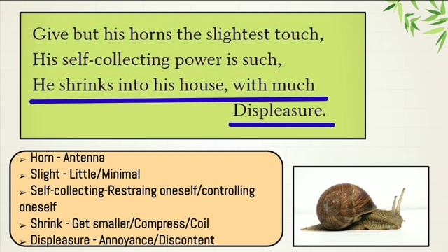 THE SNAIL।। POEM ।। WILLIAM COWPER ।। CLASS X ।। WBBSE ।। IN BENGALI BANGLA ।। #শামুক #thesnail смотреть онлайн