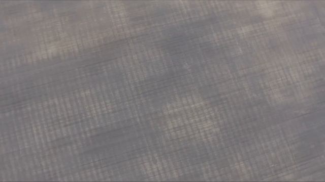 Кормим рассаду Террафлексом (1 грамм на литр) 05 05 2016 смотреть онлайн