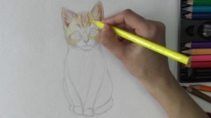 Как нарисовать КОТЕНКА (КОШКА)  акварельными карандашами ArtBerry КОТ поэтапно | Art School
