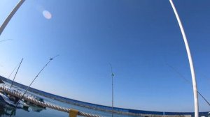 8.03.2k19 Адлер. Ловля кефали(чуларка,сингиль, джуралка, чуварка,журалка) на чёрном море на крышку