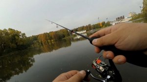 Микроджиг в городе. Yamaga Blanks Blue Current 510.