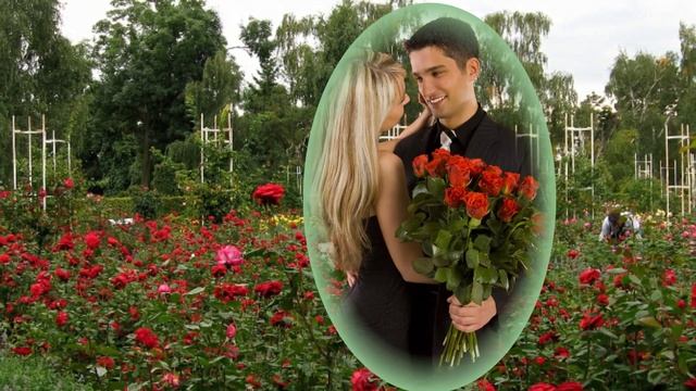 О черных и красных розах смотреть онлайн